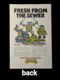 Teenage Mutant Ninja Turtles Adventures #1   Vol. 2  1989